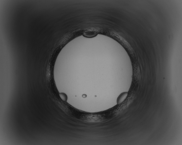 X0000100190261200806201300