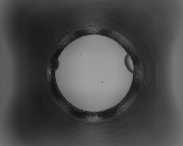 X0000100190262200806201300