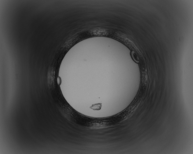 X0000100190263200806201300