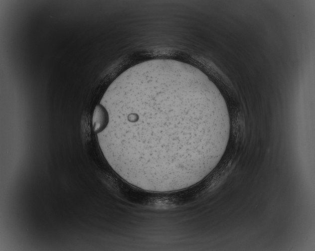 X0000100190264200806201300