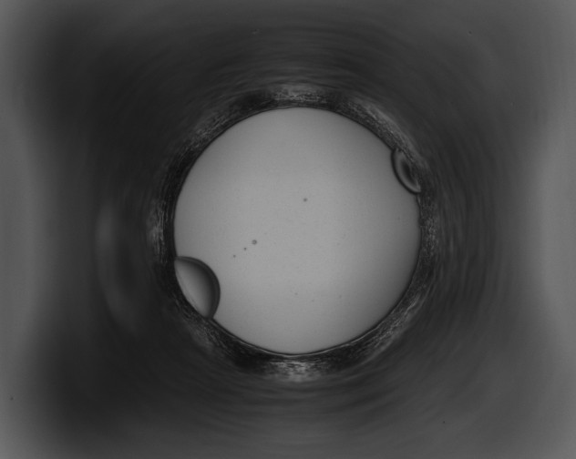 X0000100190265200806201300