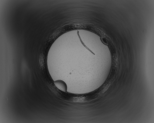 X0000100190266200806201300