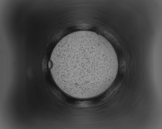 X0000100190268200806201300