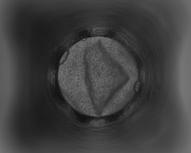 X0000100190271200806201300