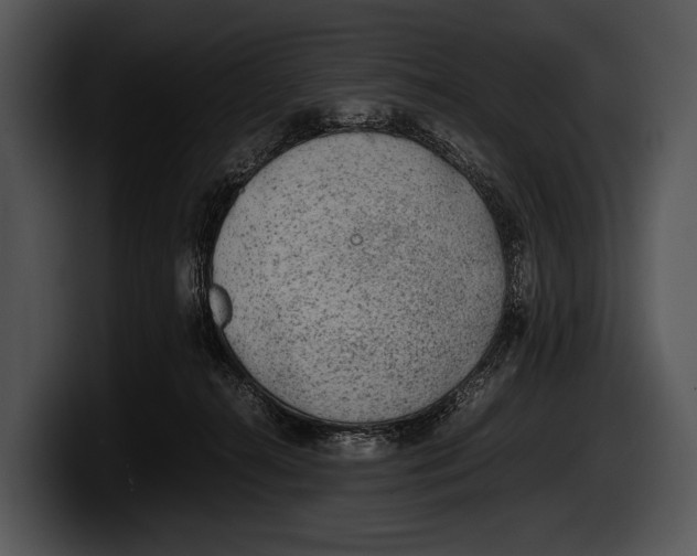 X0000100190272200806201300