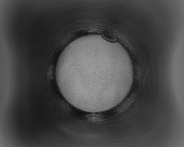 X0000100190273200806201300