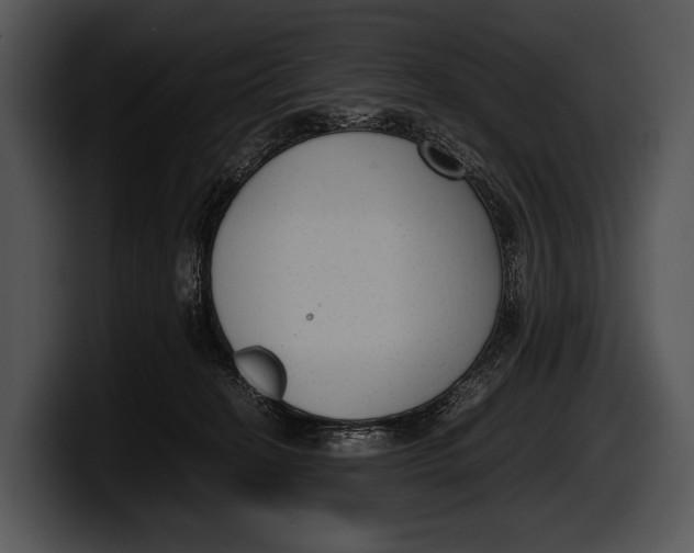 X0000100190274200806201300