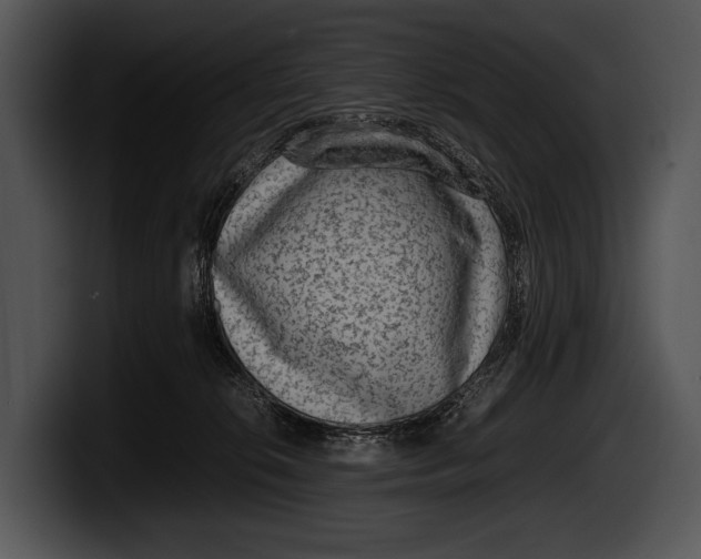 X0000100190276200806201300
