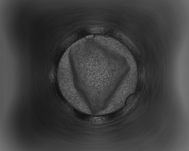 X0000100190277200806201301
