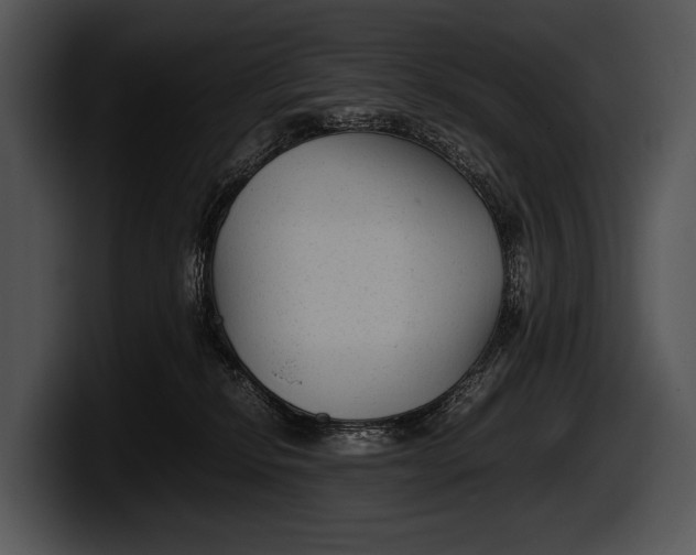 X0000100190278200806201301