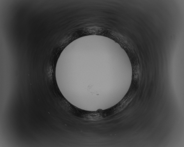 X0000100190279200806201301