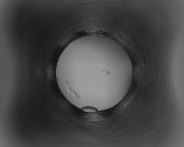 X0000100190280200806201301