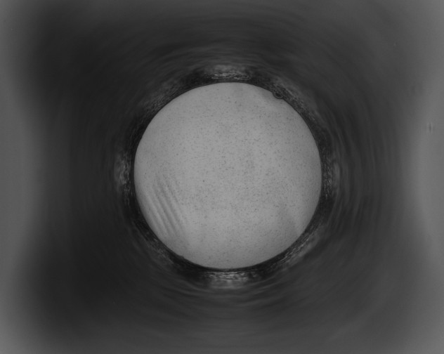 X0000100190281200806201301