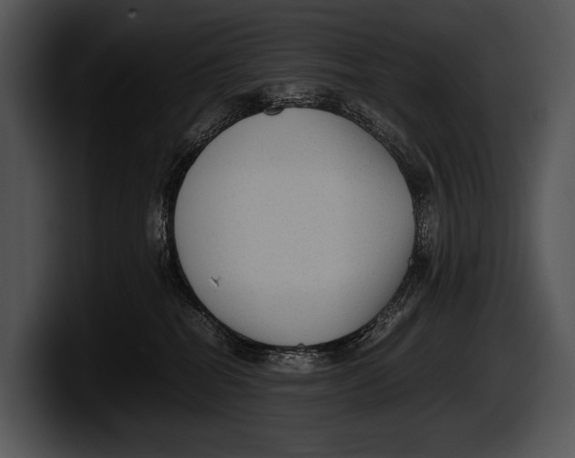 X0000100190282200806201301