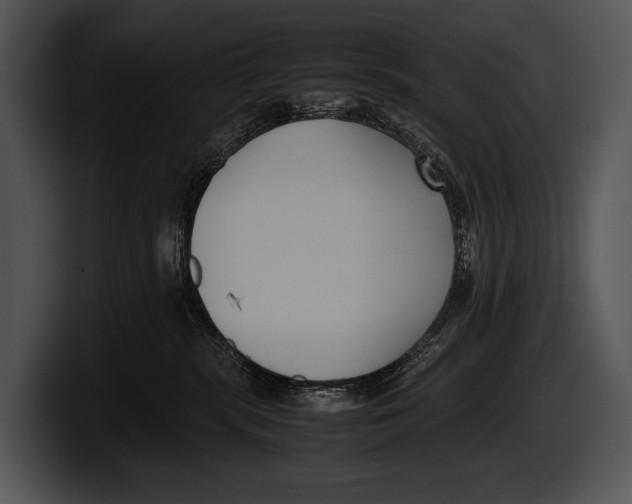 X0000100190283200806201301