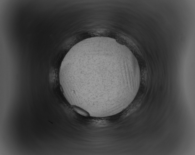 X0000100190284200806201301