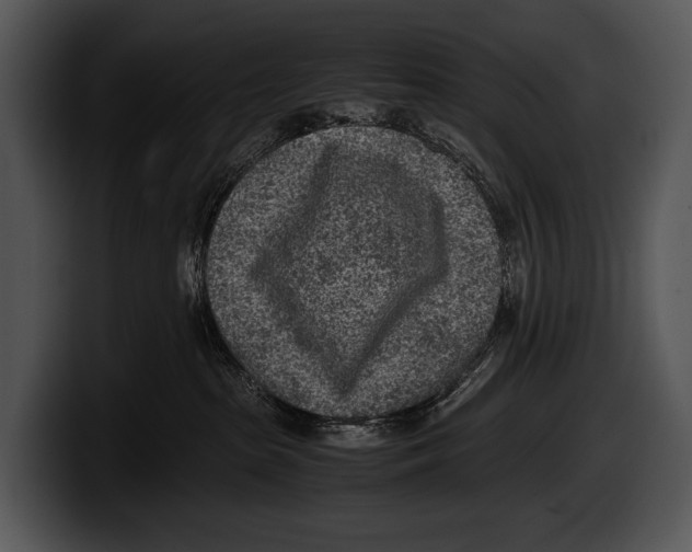 X0000100190285200806201301