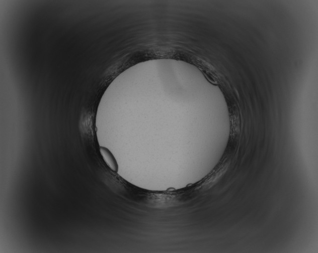 X0000100190286200806201301