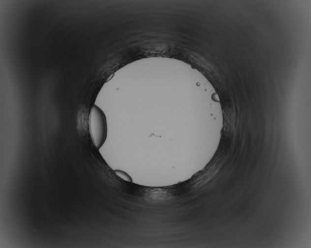 X0000100190287200806201301