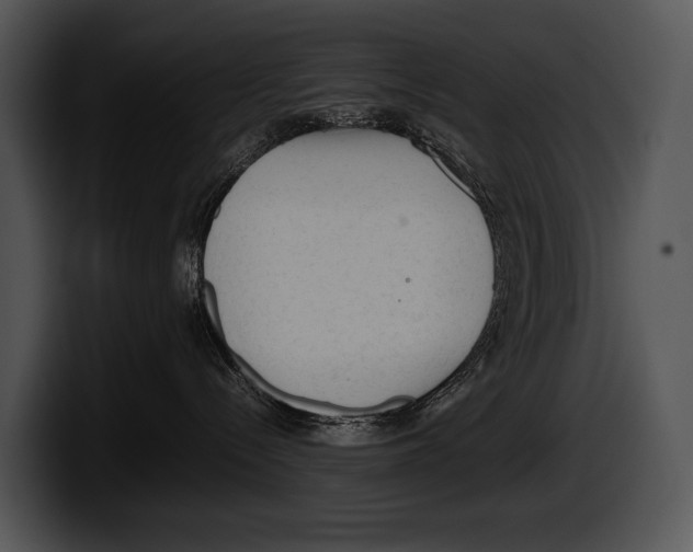 X0000100190288200806201301