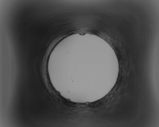 X0000100190289200806201300