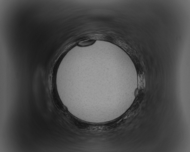 X0000100190291200806201300