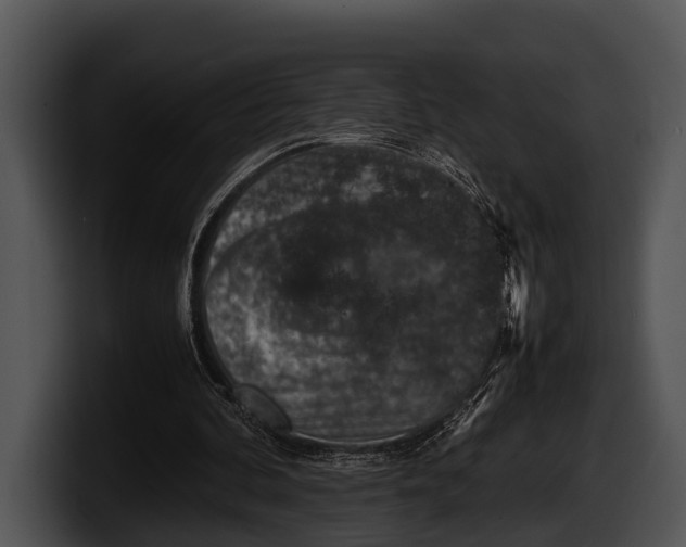 X0000100190292200806201300