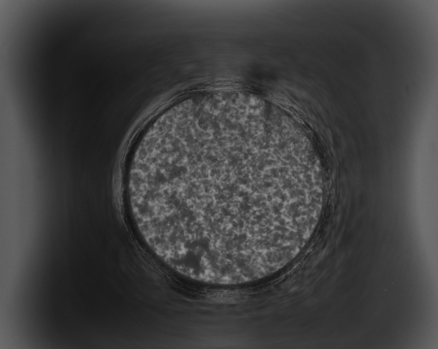 X0000100190293200806201300