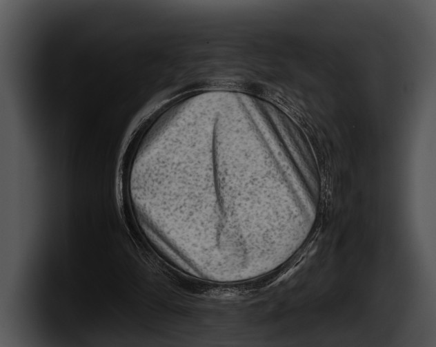 X0000100190294200806201300