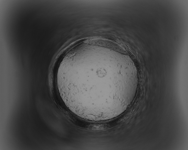 X0000100190295200806201300