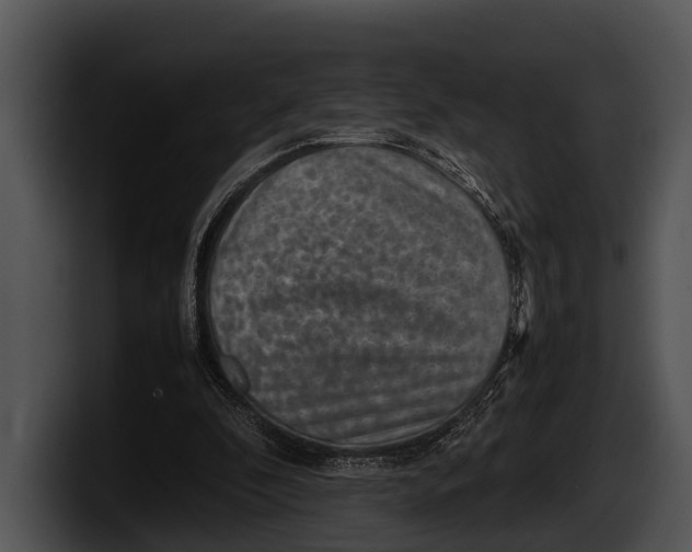 X0000100190296200806201300