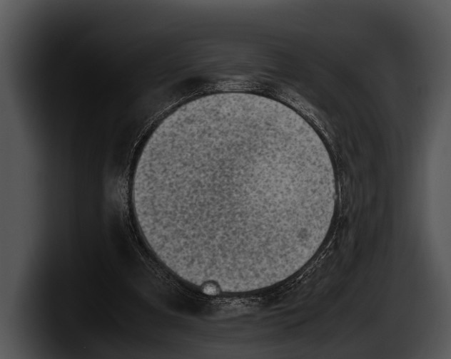 X0000100190297200806201300
