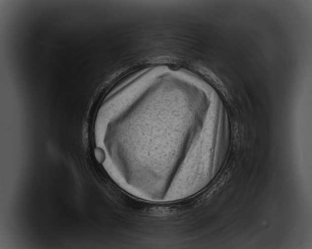 X0000100190298200806201300