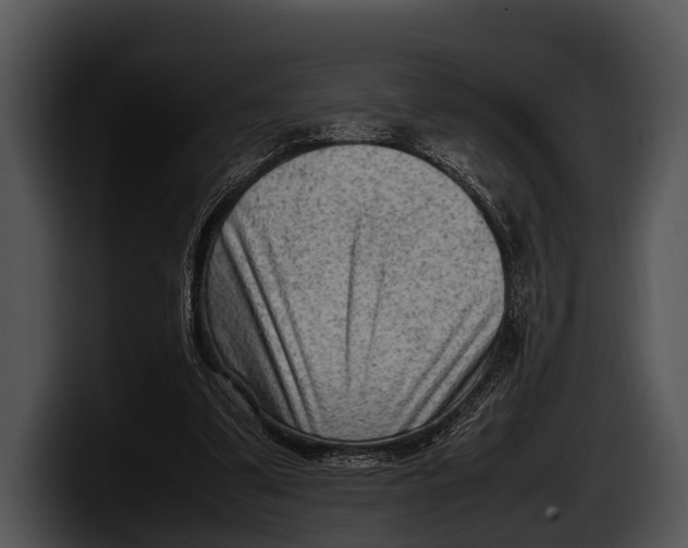 X0000100190299200806201300