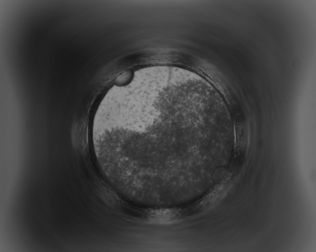 X0000100190301200806201300