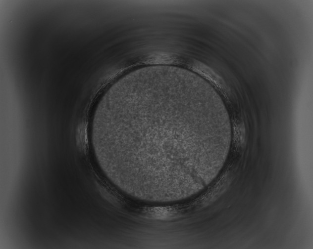 X0000100190302200806201300