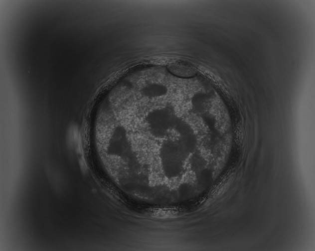 X0000100190303200806201300