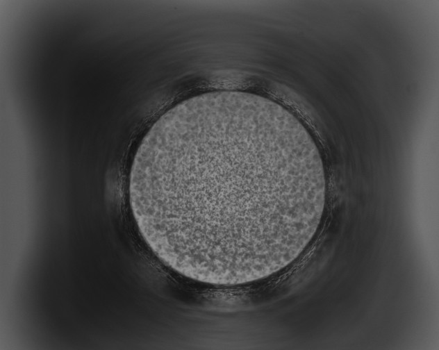 X0000100190305200806201300