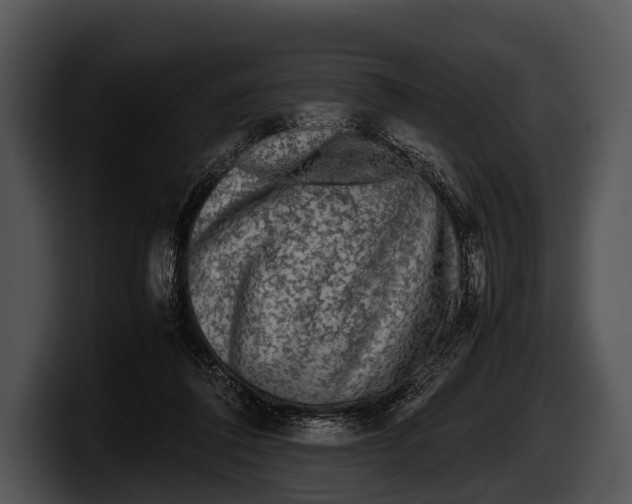X0000100190308200806201300
