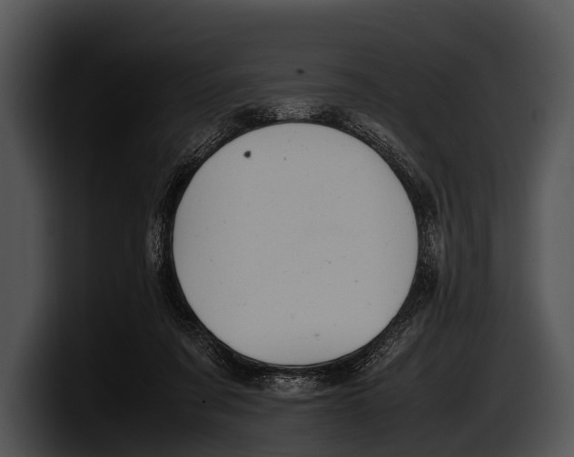 X0000100190311200806201300