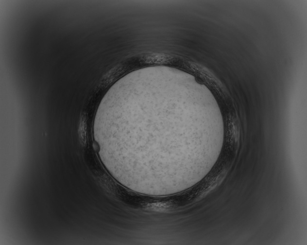 X0000100190312200806201300