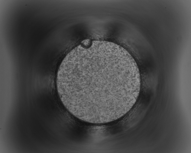 X0000100190313200806201300