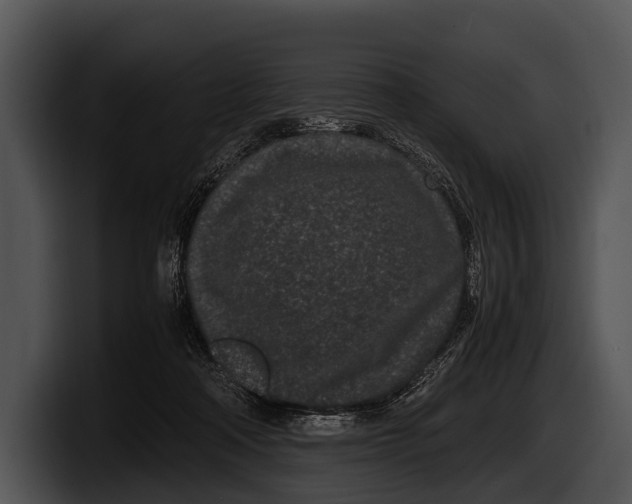 X0000100190314200806201300
