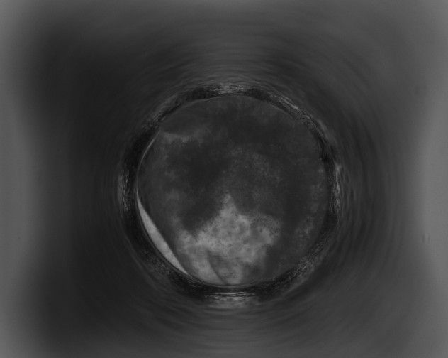 X0000100190316200806201300