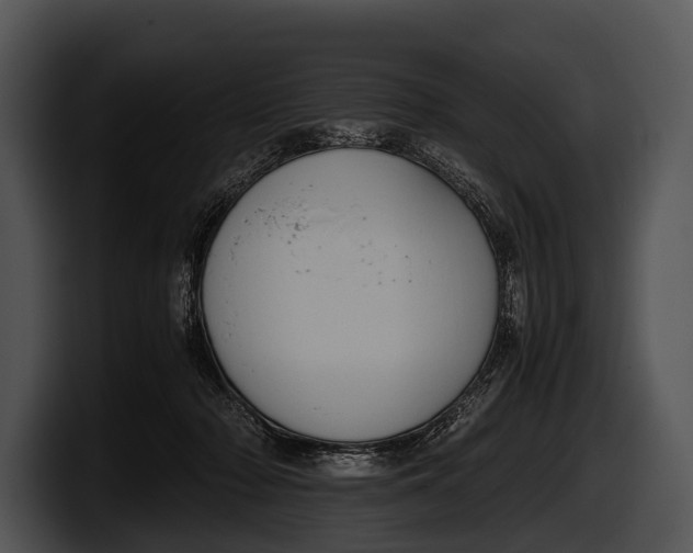 X0000100190318200806201300