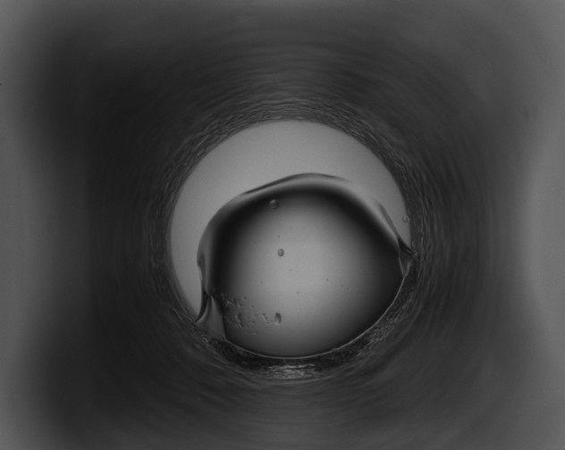 X0000100190320200806201300