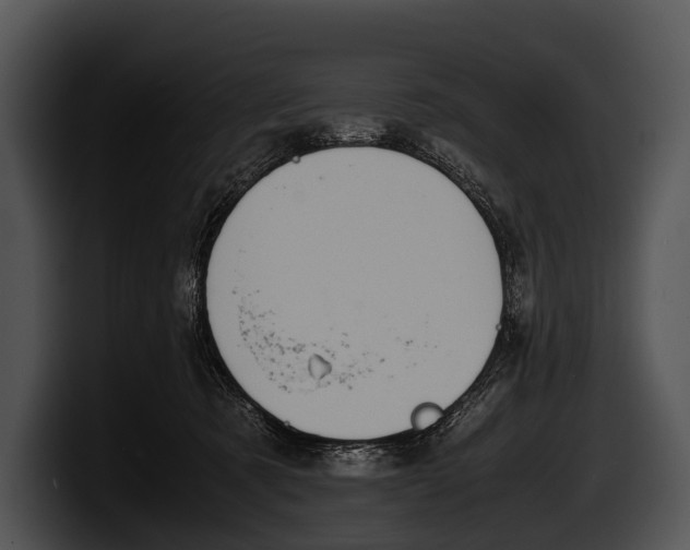 X0000100190321200806201300