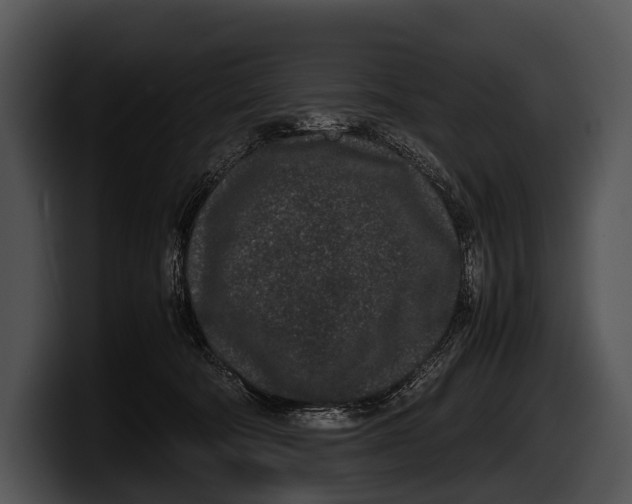 X0000100190322200806201300