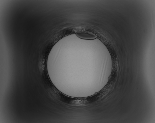 X0000100190323200806201300