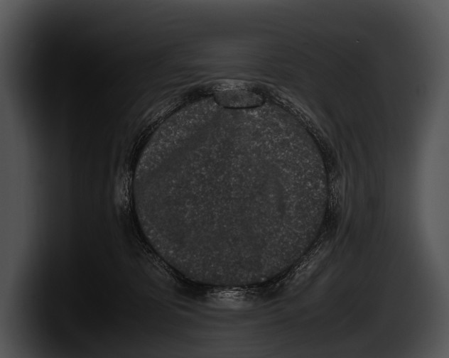 X0000100190325200806201300